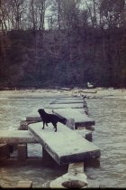 Looking up damaged long concrete pier